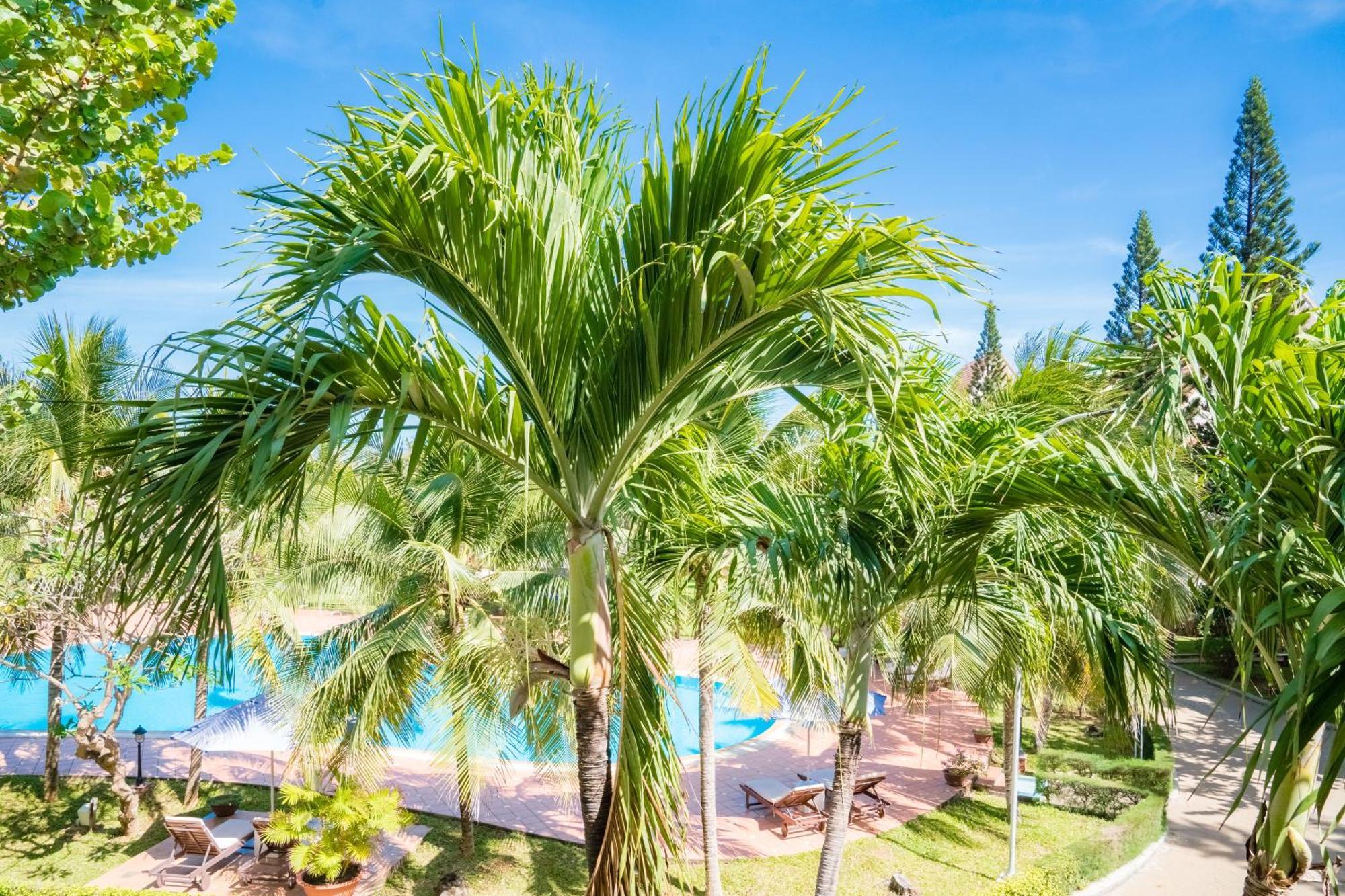 Lotus Vung Tau Resort & Spa Exterior foto
